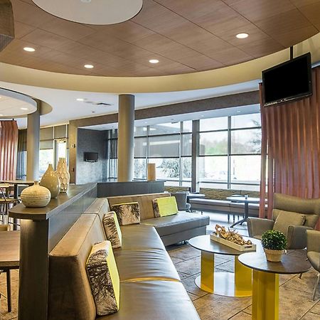 Springhill Suites Tampa North/Tampa Palms Exterior foto